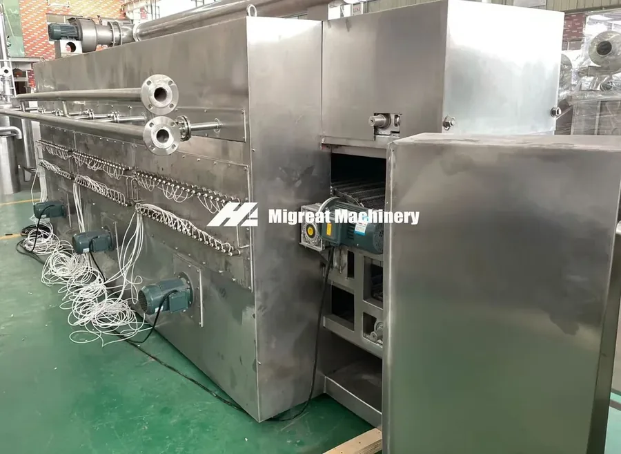Migreat mesh belt dryer