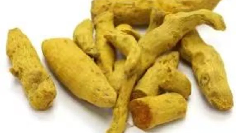 Turmeric roots