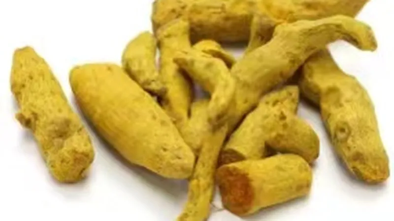 Turmeric roots